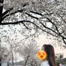 프로브드에이치(PROVED.H) 네이버블로그