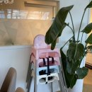 로엘유치원 이미지