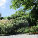 순천만국가정원(서문) 이미지