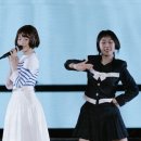 푸른산호초 이미지