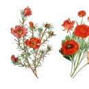 청암순대 이미지