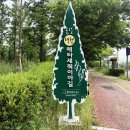 울산대공원 산책로변 이미지