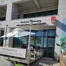 단데안담