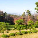 일산목장 이미지