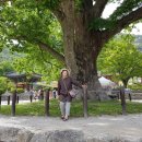 억조농장 이미지