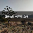 상화농장 이미지