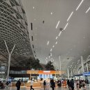 H-043 | 진에어 보홀 좌석 : 새벽 도착 0.5박 숙소 공항픽업 후기