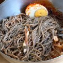 청솔속초삼대메밀국수 | 포항 메밀국수 맛집🍜 청솔속초삼대메밀국수 직접 다녀온 후기
