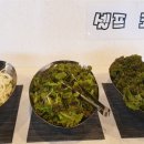 영풍식당