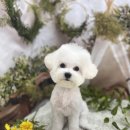 견생 이발소 이미지