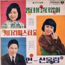 먼 산울림 - 이정민 이미지