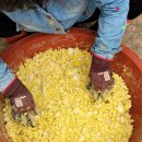 옥계 백봉이네 이미지