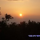 칠포해수욕장 이미지