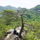 근교산&amp;그너머 ＜1381＞ 충북 괴산 마분봉 이미지