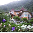 한반도리버펜션