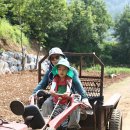 주니농장 이미지