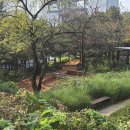 공원당구클럽 이미지