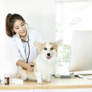 드림24동물병원 이미지