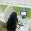 한들물빛중학교 정문 2 | 탕정한들물빛초 앞 영어학원, 고민하다 정착한 ‘미래엔영어 최선학원’ 체험 후기