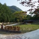 금대에코힐링캠핑장 이미지