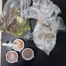 씨유 성남태평마을점 | 성남 태평 가천대역 가성비 소금막창 맛집 내돈내산 솔직후기, 원조 왕십리곱창