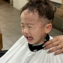 영헤어리드