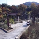 치코스 이미지