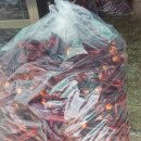 입구떡방앗간 이미지