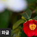 설날 아침에/윤보영 이미지