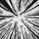 남동목장 이미지