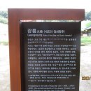 9월10일 (광릉-국립수목원-봉선사-왕숙천=남양주) 이미지