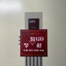[일산 타로 사주] 정담원타로명리 후기!