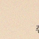어울림산부인과의원 이미지