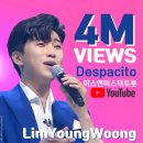 데스파시토 이미지