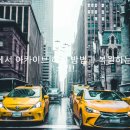팀아카이브 이미지