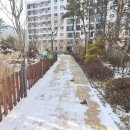 새마을부동산공인중개사사무소 이미지
