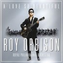 A love so Beautiful / Roy Orbison 이미지