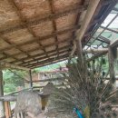 봄내목장 이미지