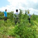 월출농장 이미지