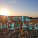 죽동2지구공인중개사사무소 네이버블로그