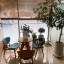 서울안치과의원 이미지