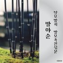 비비비원 이미지
