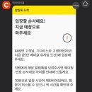 메종드퍼피 이미지