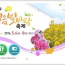 빛바람 이미지