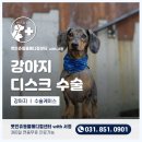 동두천 메디컬 센터 이미지