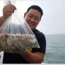 만석부두로 Daum카페