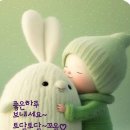 광사로 Daum카페