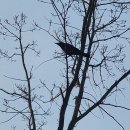 상사호 오토 캠핑장 이미지