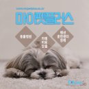 펫플러스 이미지