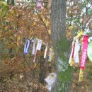 향로농장 이미지